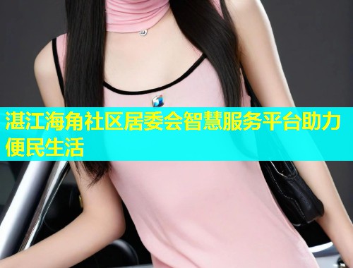 湛江海角社区居委会智慧服务平台助力便民生活  第1张
