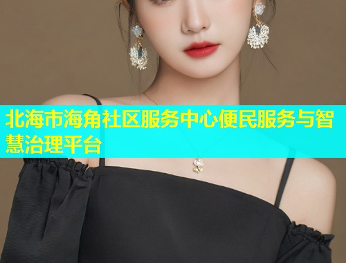 北海市海角社区服务中心便民服务与智慧治理平台  第2张