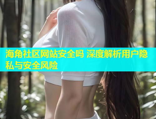 海角社区网站安全吗 深度解析用户隐私与安全风险