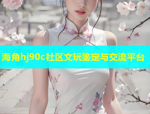海角hj90c社区文玩鉴定与交流平台